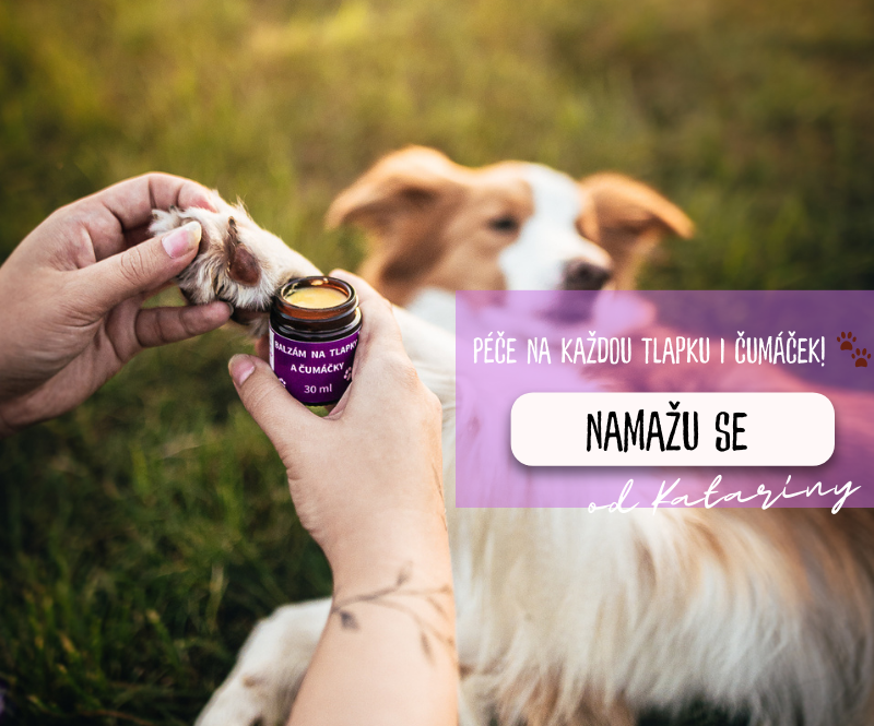 Péče na každou tlapku i čumáček! 🐾
